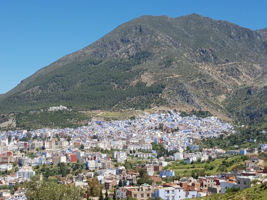 From Fez: Chefchaouen Day Trip - Last Words