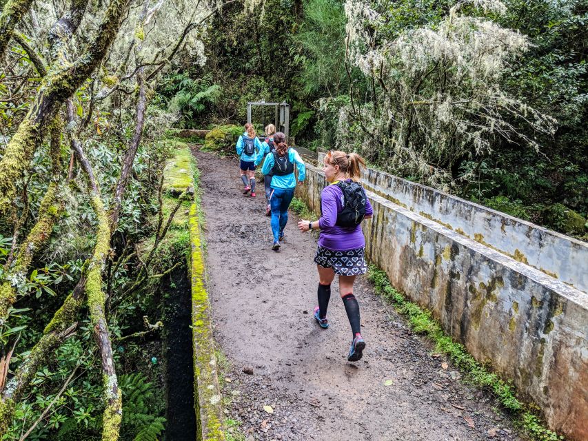 From Funchal: Easy to Moderate Green Levada Running Tour - Pickup and Duration