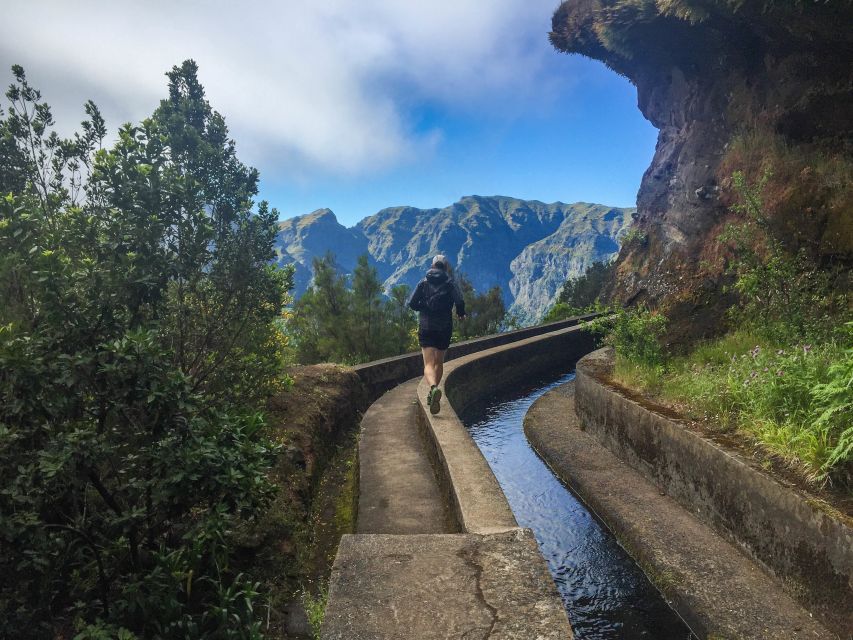 From Funchal: Folhadal Trail Running Tour (Moderate) - Trail Features