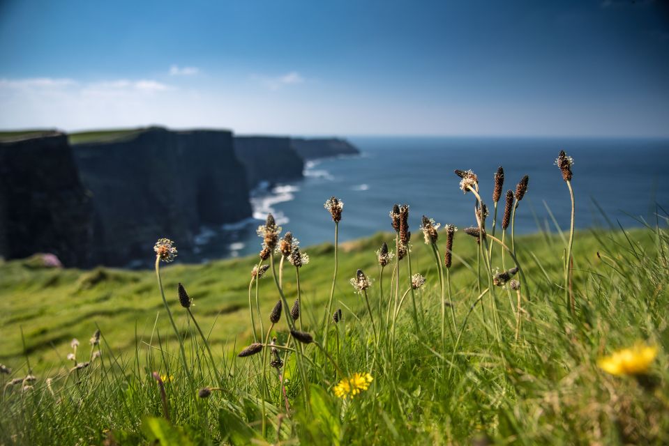 From Galway: Cliffs of Moher and The Burren Full Day Tour - Activity Directions
