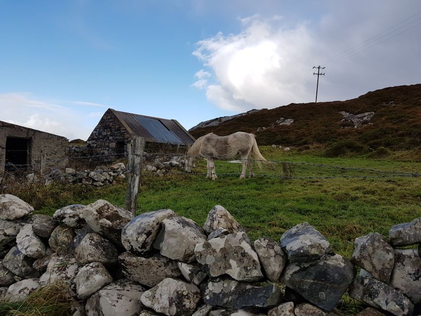 From Galway: Connemara and Kylemore Abbey Day Tour - Meeting Point and Departure Recommendations