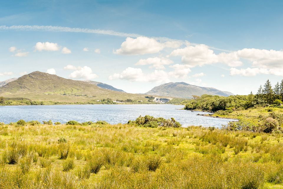 From Galway: Connemara & Kylemore Abbey Full-Day Guided Tour - Common questions