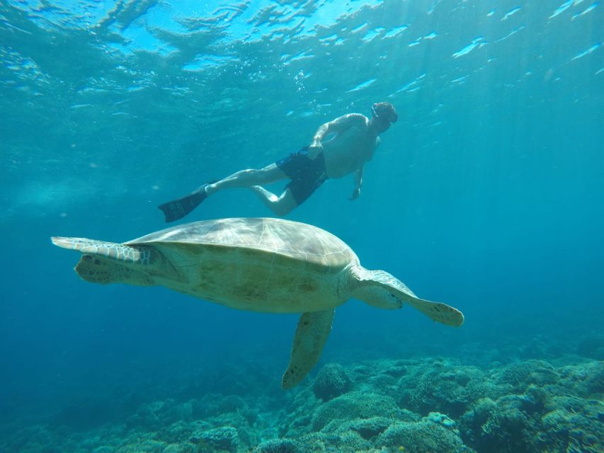 From Gili Trawangan: Sharing Sunset Snorkeling Small Group - Booking Information