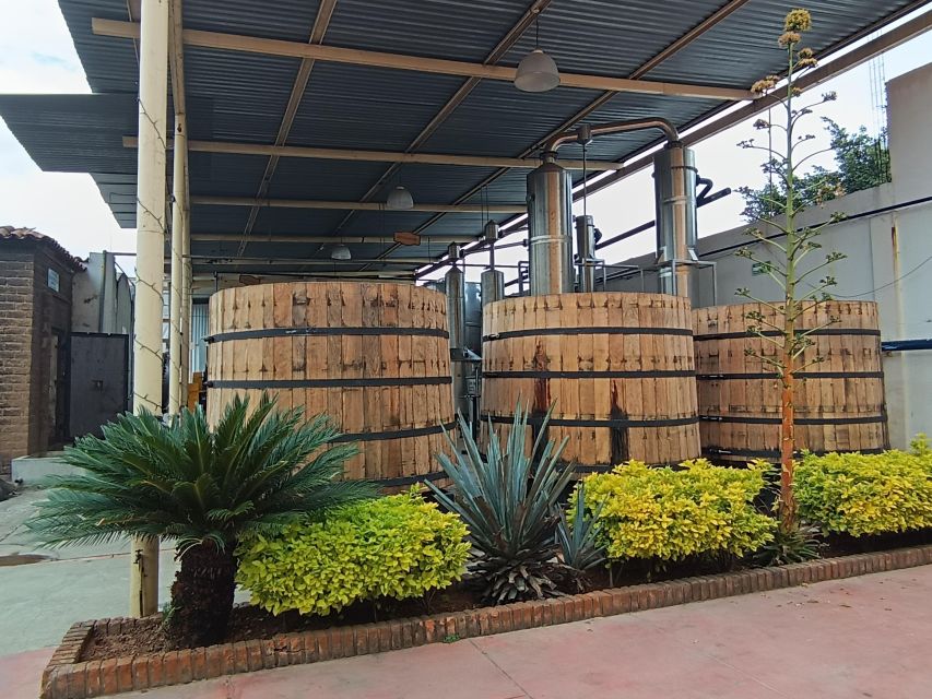 From Guadalajara: Tequila Tour With Tastings - Artisanal Tequila Factory Visit