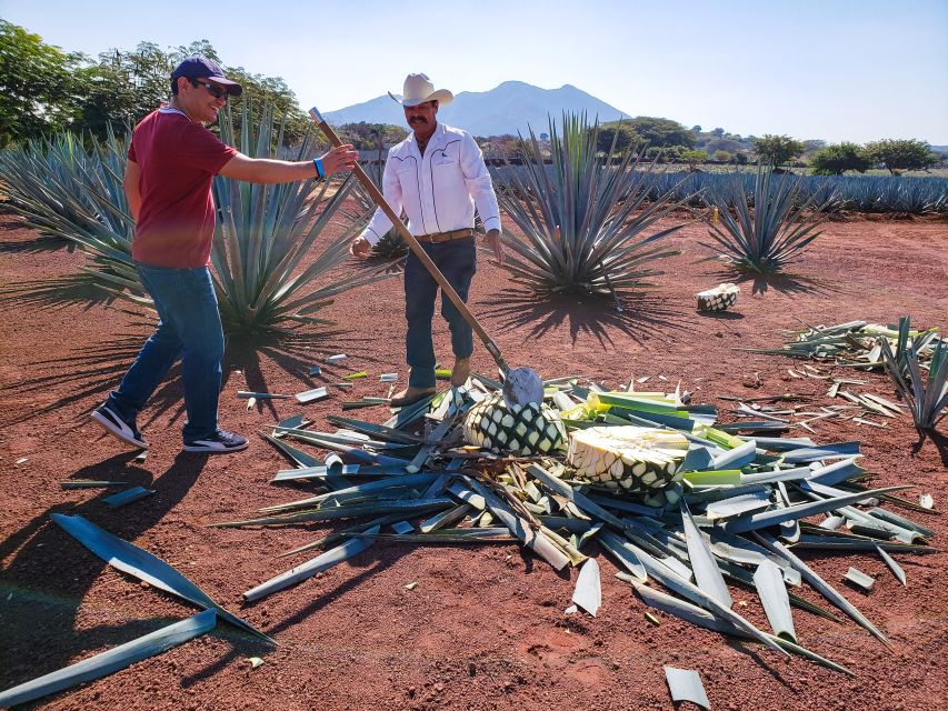 From Guadalajara: Town of Tequila & Jose Cuervo Factory Tour - Tips for the Tour