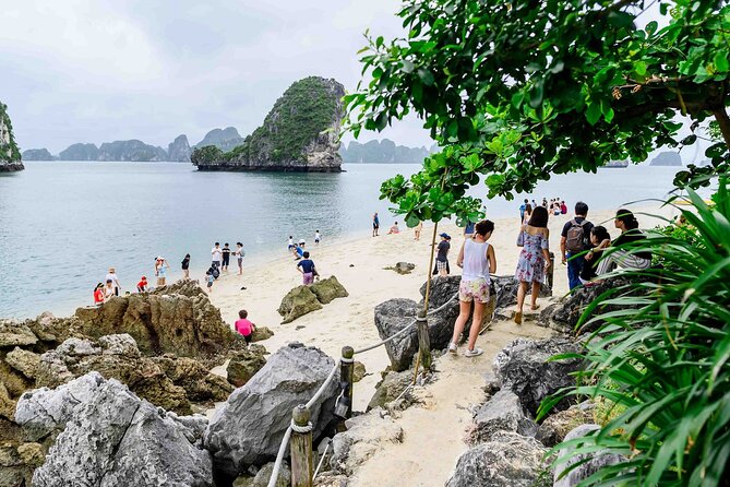 From Ha Noi- Ha Long Bay With Buffet Lunch on Luxury Cruise - Last Words