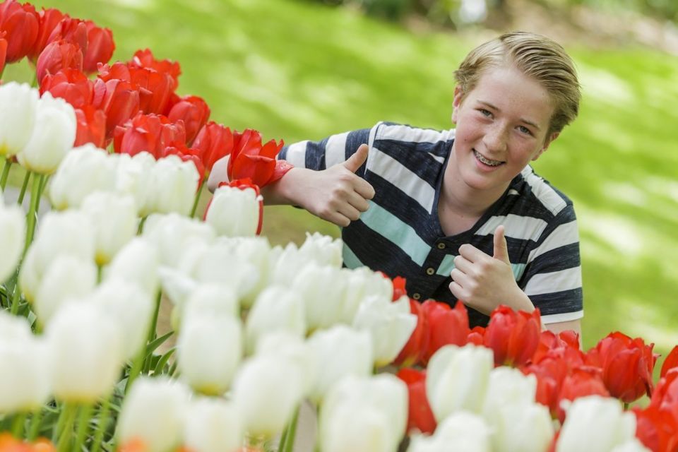 From Haarlem: Keukenhof Ticket With Public Bus Transfers - Booking Process