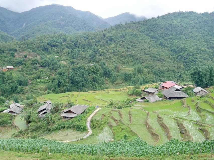 From Hanoi: 2-Day Sapa Trekking Trip With Homestay & Meals - Transportation and Accommodation