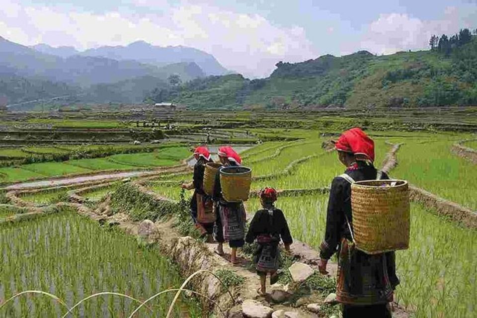 From Hanoi: 3-Day Sapa Trek With Guide, Homestay and Meals - Final Day and Return to Hanoi