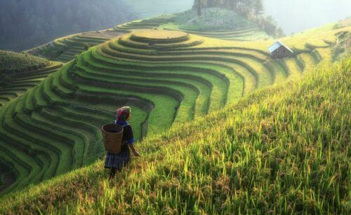 From Hanoi: Explore Sapa 2-Day Tour - Weather Conditions in Sapa