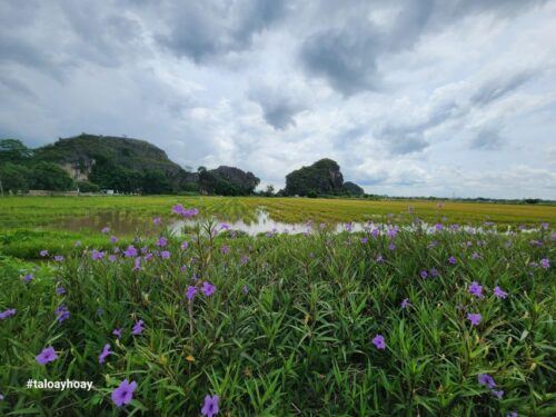 From Hanoi: Hoa Lu – Tam Coc or Trang An – Mua Cave - Common questions