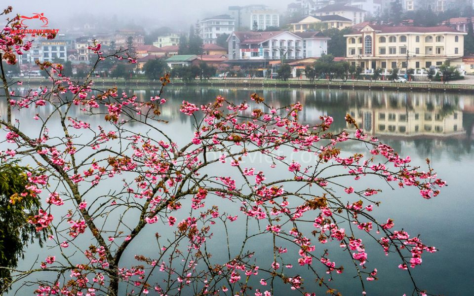 From Hanoi: Sapa 3 Days 2 Nights In the Evening - What to Expect During the Tour