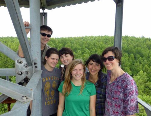 From Ho Chi Minh City: Can Gio Mangrove Guided Forest Tour - Review Summary