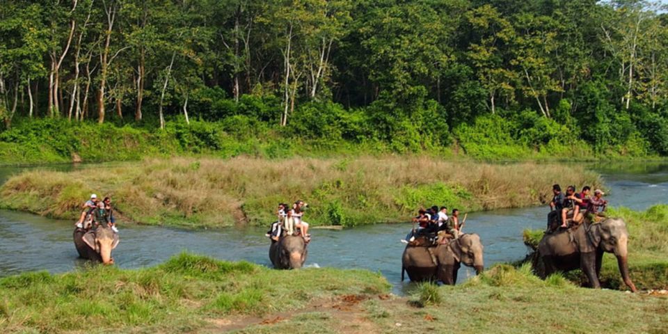 From Kathmandu: Trishuli River Rafting With Chitwan Tour - Transportation and Accommodation