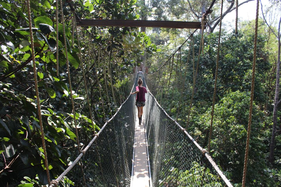 From Kuala Lumpur: Taman Negara National Park Day Tour - Additional Information and Reminders