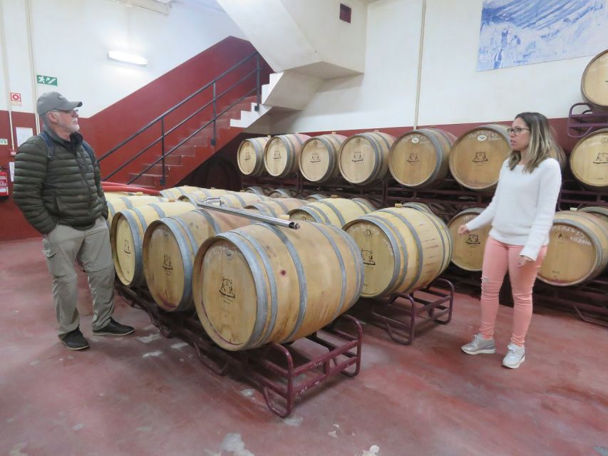 From Lagos: Private Algarve Wineries Tour With Tastings - Scenic Algarve Region