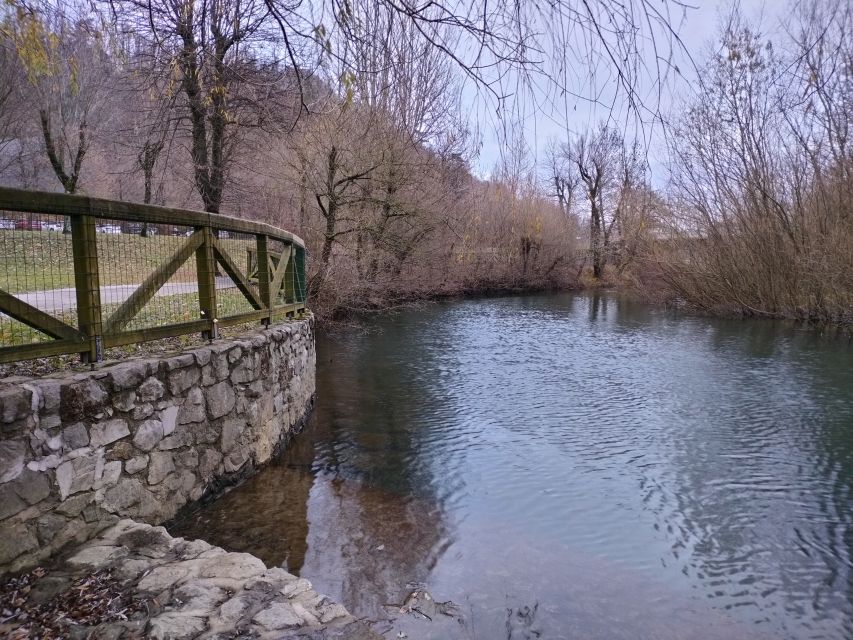 From Ljubljana: Lake Bled and Postojna Cave Day Trip - Local Guides and Drivers