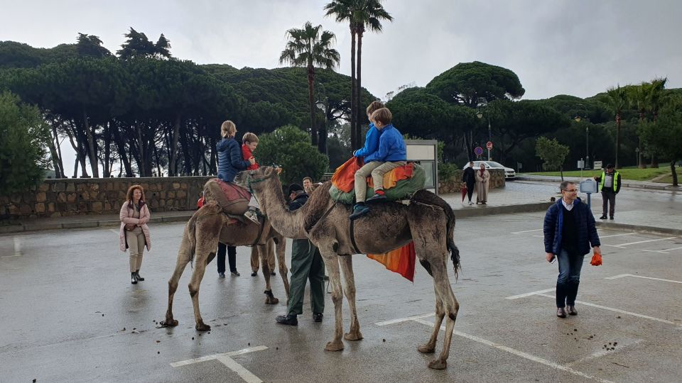 From Malaga: Tangier Day Tour With Bazaar Shopping and Lunch - Review Summary