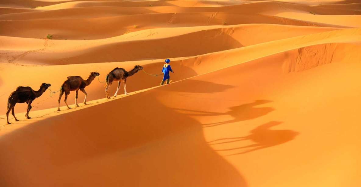 From Marrakech : 4 Days Private Desert To Zagora & Merzouga - Common questions