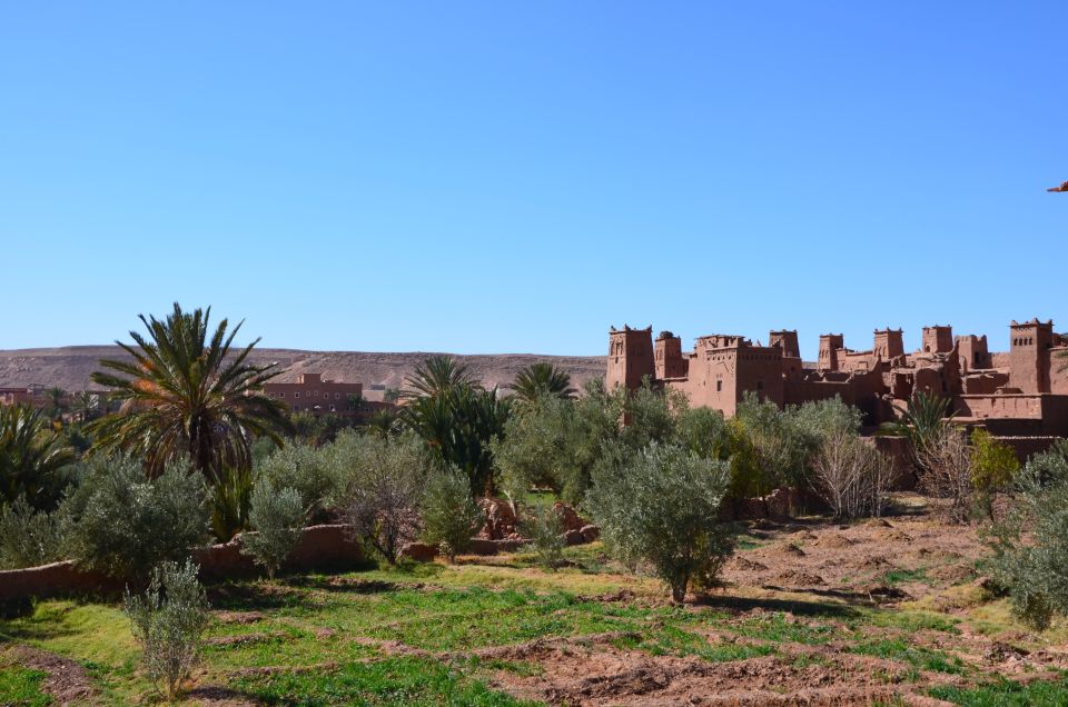 From Marrakech: Ait Ben Haddou and Ouarzazate Day Trip - Transportation Services