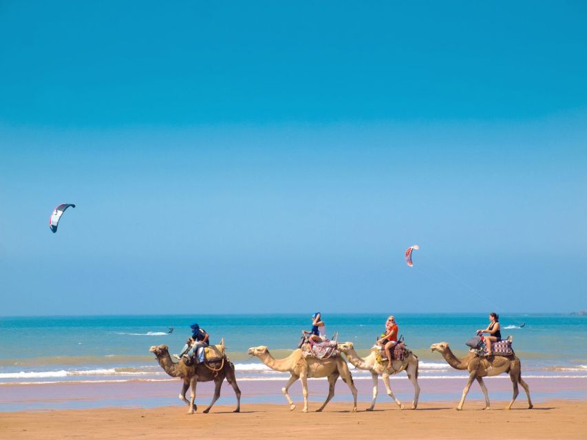 From Marrakech: Essaouira Full-Day Trip - Tour Information and Highlights