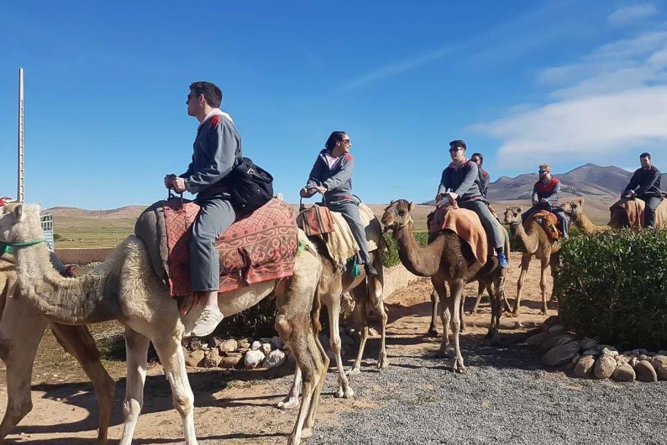 From Marrakech: Lalla Takerkoust Camel Ride & Quad Bike Tour - Last Words