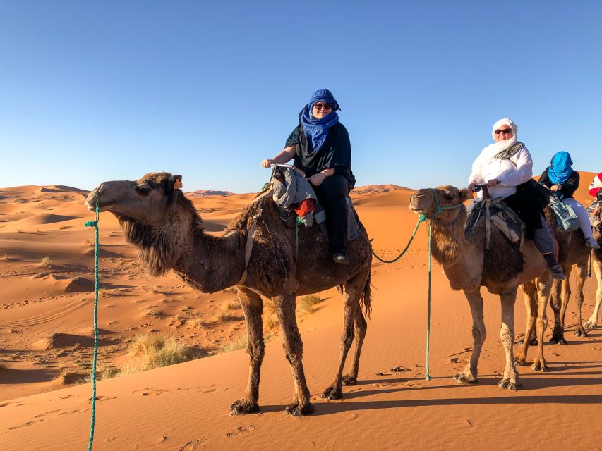 From Marrakech: Private 4 Day Desert Tour and Camel Ride - Last Words