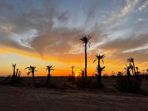 From Marrakech Tours: 2 Hours Desert Quad Bike Adventure - Directions