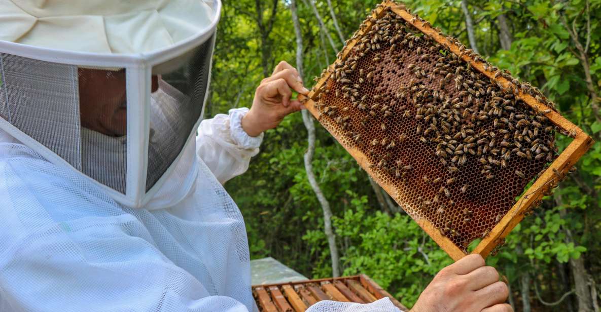 From Merida: Honey and Coconut Eco-Tour - Common questions