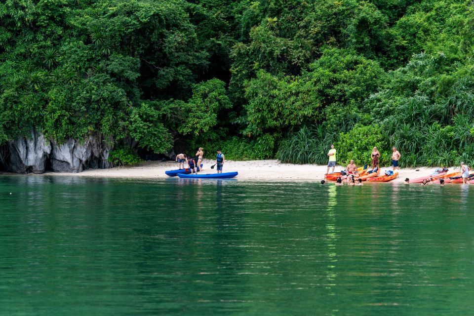 From Ninh Binh: 2 Days 1 Night Cruise in Bai Tu Long Bay - Last Words