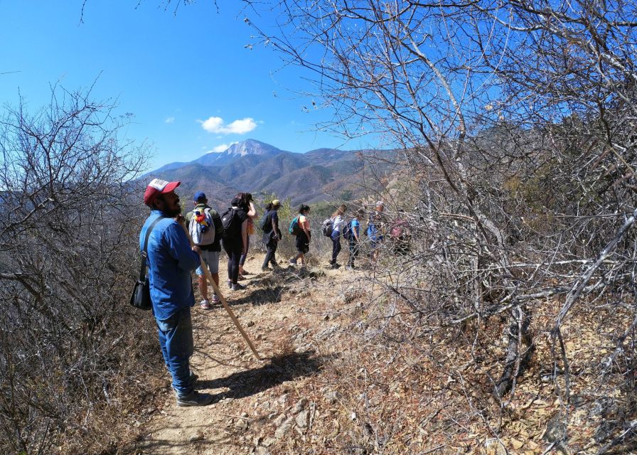 From Oaxaca: Hierve El Agua Hike and Mezcal Tour - Common questions