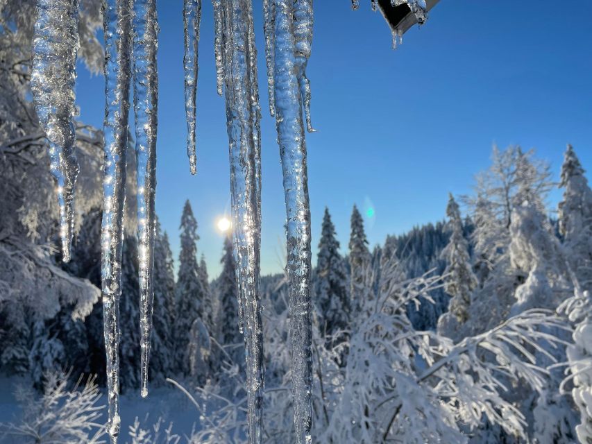 From Oslo: Oslomarka Forest Guided Snowshoeing Tour - Transportation Experience