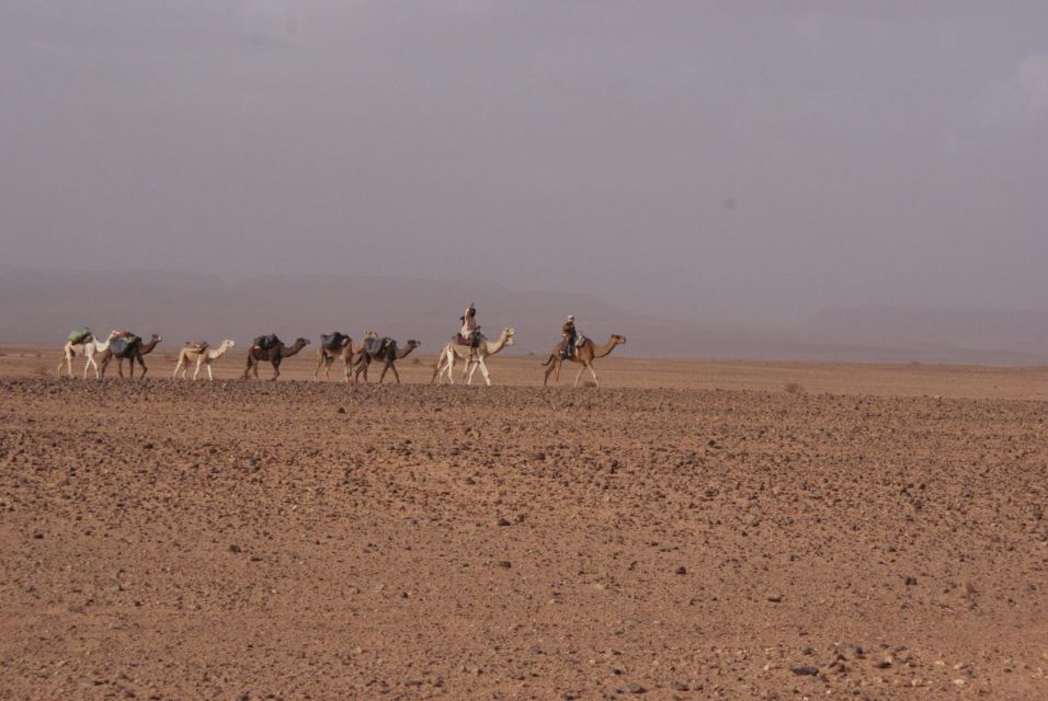 From Ouarzazate: Zagora and Draa Valley Day Tour - Common questions