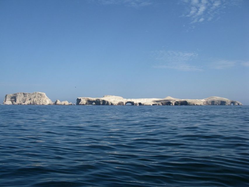 From Paracas: Ballestas Islands Boat Ride Tour - Common questions