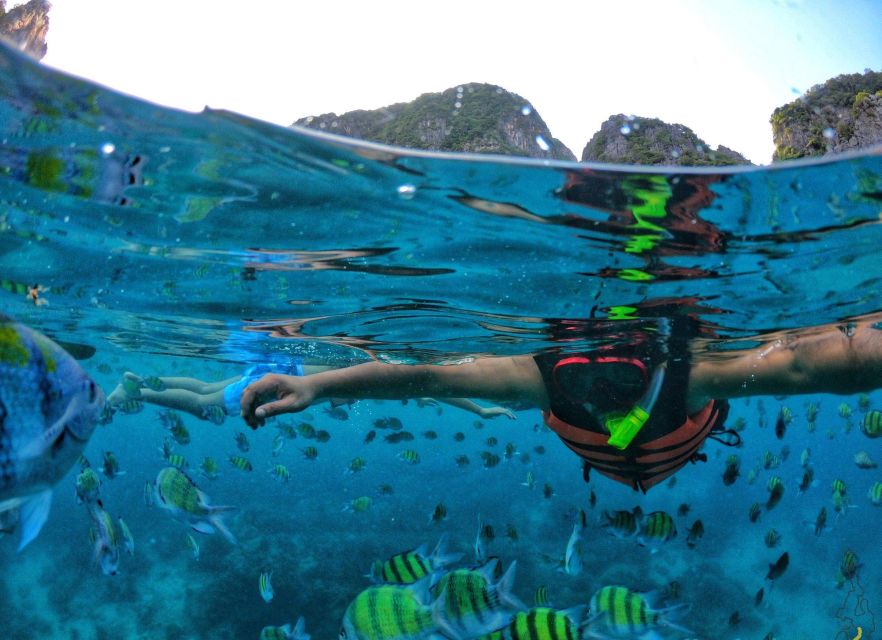 From Phi Phi : Maya Bay Sunset Cruise and Plankton Swimming - Directions