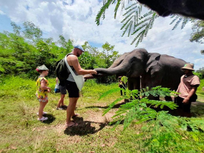 From Phuket: Ethical Elephant Interactive Trek and Tour - Convenient Starting Times