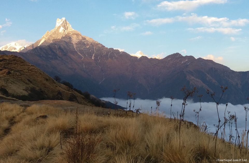 From Pokhara: 7-Day Mardi Himal Base Camp Trek - Booking Information and Cancellation Policy