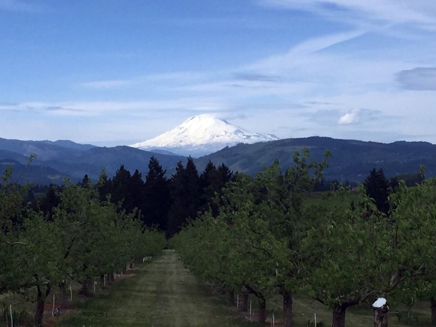 From Portland: Mt Hood, Hood River Valley and Columbia Gorge - Culinary Experience in Hood River