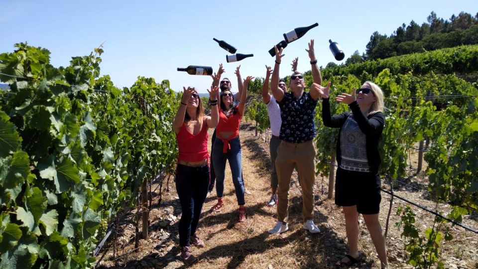 From Porto: Douro Valley Wine Tour, Tastings, Lunch & Cruise - Customer Reviews and Ratings