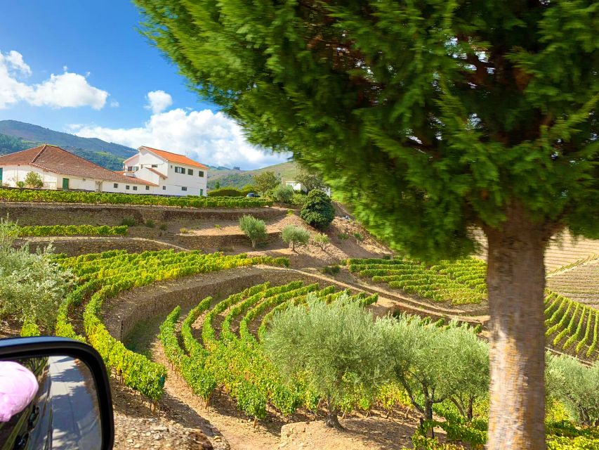 From Porto: Douro Valley Wine Tour With River Cruise & Lunch - Additional Tour Information