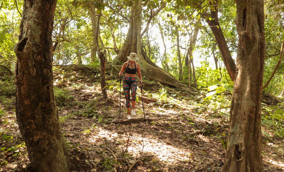 From Puerto Vallarta: 2-Hour Guided Sierra Vallejo Hike - Directions