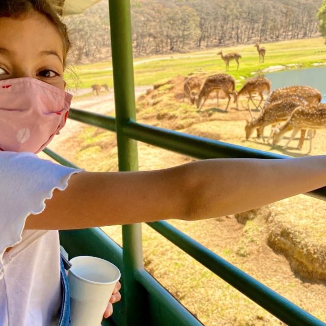 From Querétaro Bioparque Estrella - Live Tour Guide Information