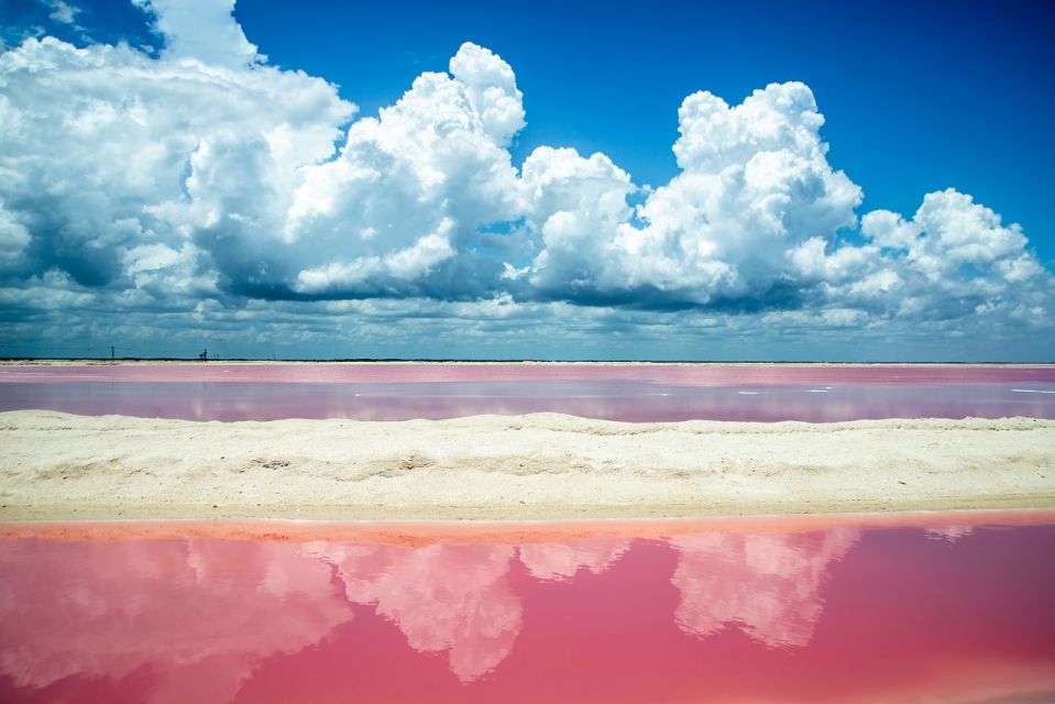 From Riviera: Las Coloradas - Safari & Salt Mining Day Trip - Common questions