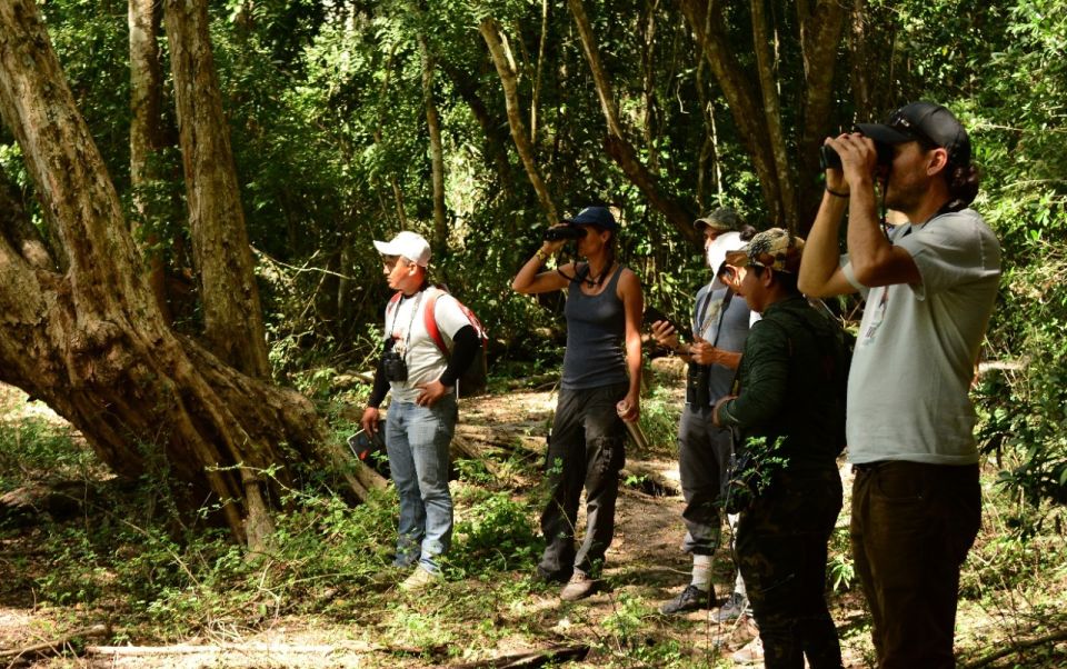 From Riviera Maya : Sian Ka'an Muyil Birdwatching With Guide - Common questions