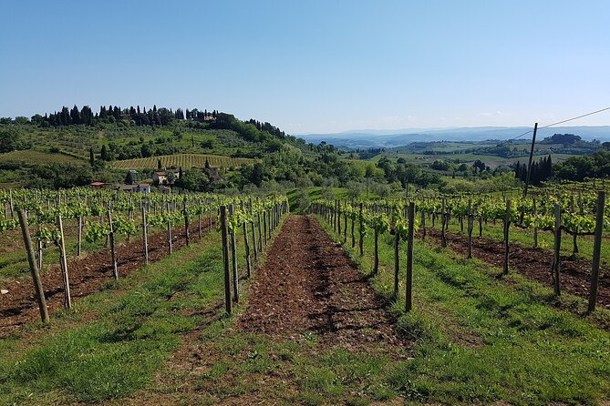 From Rome: San Gimignano, Siena, Chianti Winery Visit and Lunch - Customer Reviews and Ratings