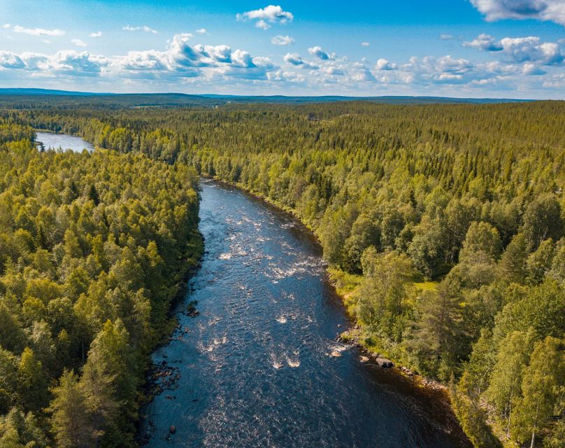 From Rovaniemi: Vikaköngäs Forest Hiking Tour With BBQ - Tour Expectations