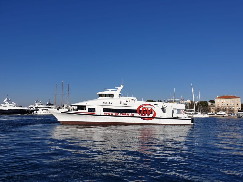 From Rovinj: Venice Boat Trip With Day or One-Way Option - Departure Information