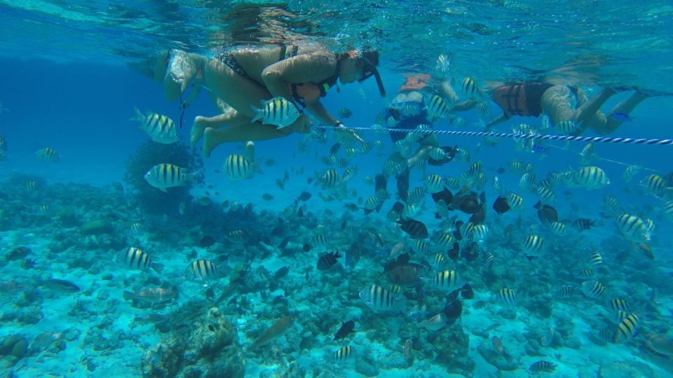 From San Andrés: Full-Day San Andrés Bay Snorkeling Cruise - Tour Information