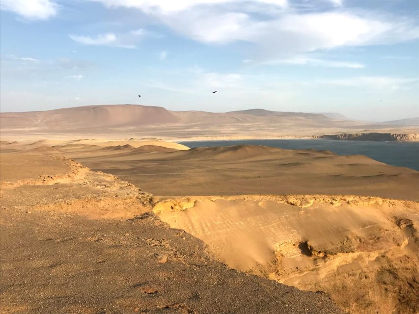 From San Martin: Ballestas Islands and Paracas Reserve - Cancellation and Reservation Options