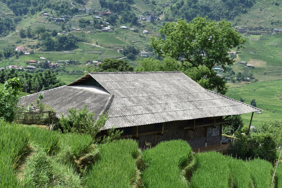 From Sapa: 1-Day Trekking Through Terraces Rice Fields - Directions